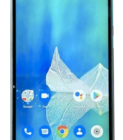 Micromax In 2b
